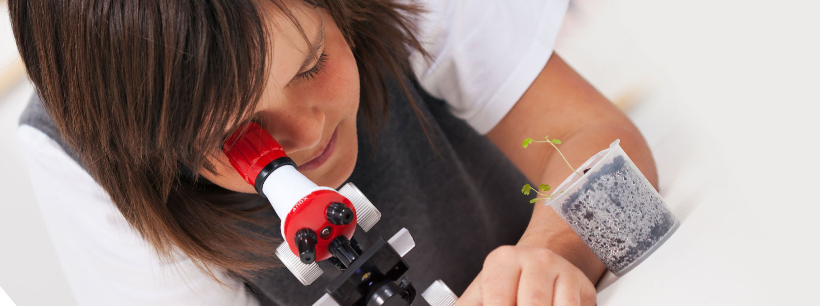 Biology banner